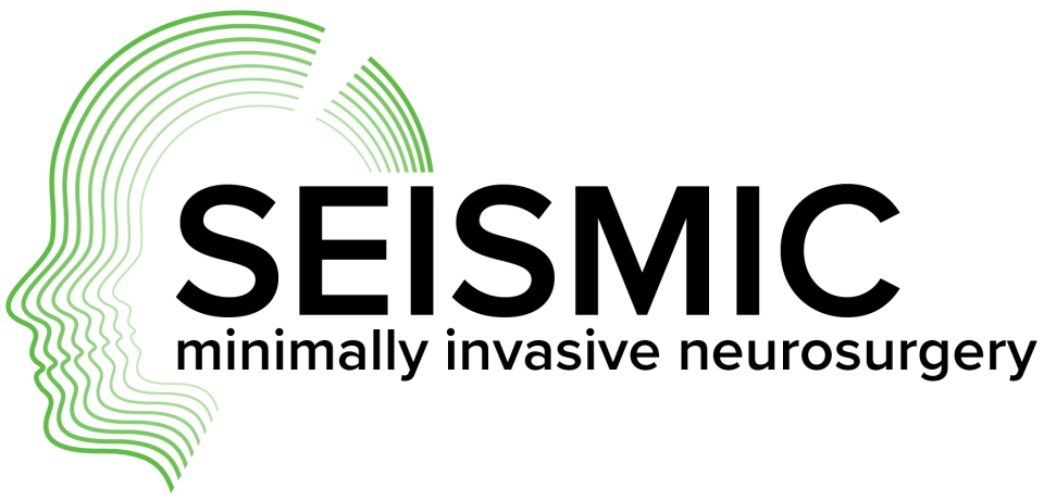SEISMIC Logo Green Full